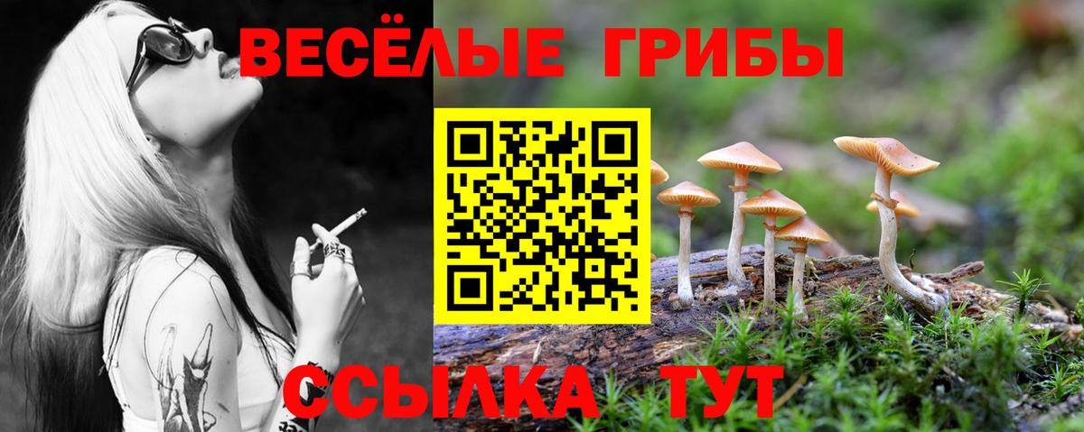 Галлюциногенные грибы Cubensis Сертолово