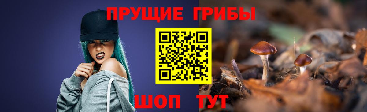 Сертолово  Псилоцибиновые грибы прущие грибы  Вход с VPN 